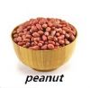 best price peanut supplier from china